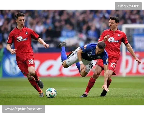 保级关键战前瞻：波鸿与沙尔克04的防守失误率或将决定比赛走向